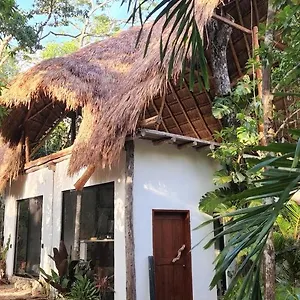 Selva Roca Casa rural